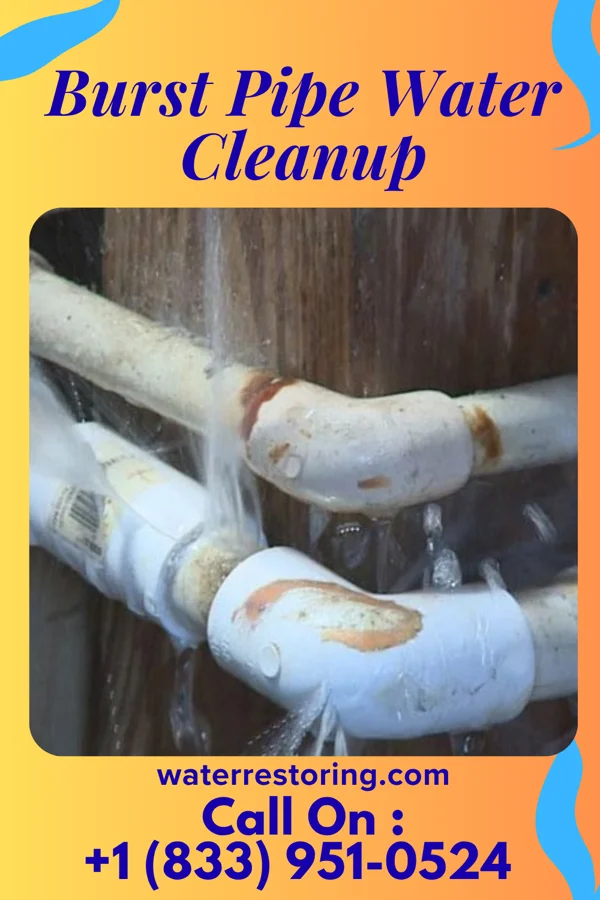 Burst Pipe Water Cleanup in Wheaton, MD