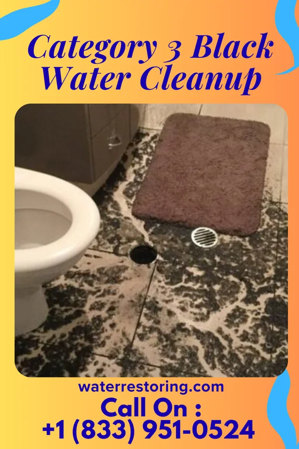 Category 3 Black Water Cleanup in Wheaton, MD