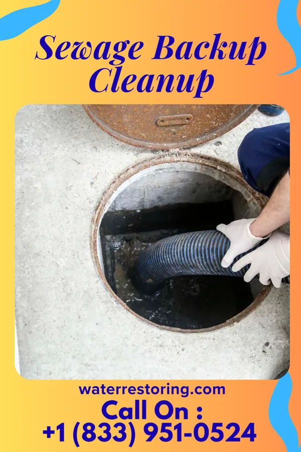 Sewage Backup Cleanup in Wheaton, MD