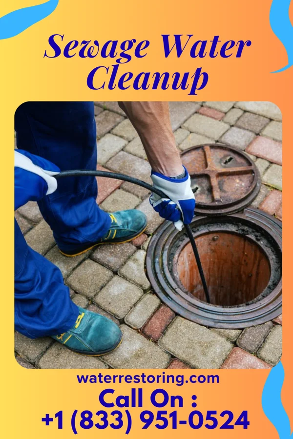 Sewage Water Cleanup in Wheaton, MD