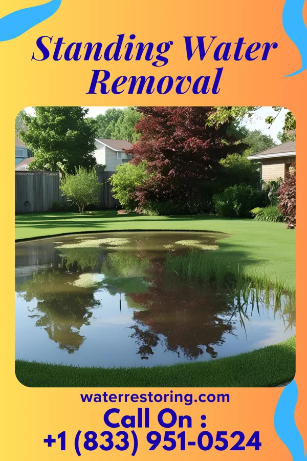 Standing Water Removal in Wheaton, MD